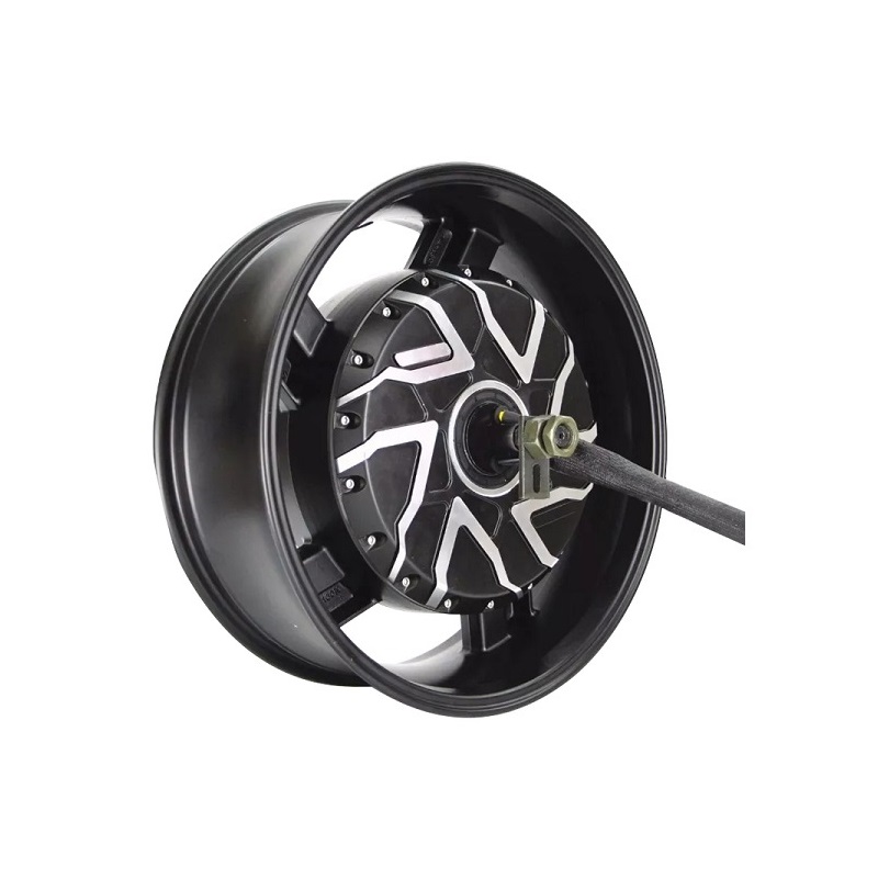 QS 273 8000W 72V 6,0x17 Zoll E – Qs Motor 273 8000W Hub Motor Bewertung und Preis